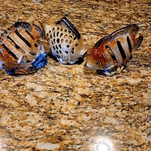 Tropical Backlighted Candle Fish Display.